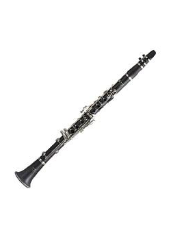 Clarinet Reeds