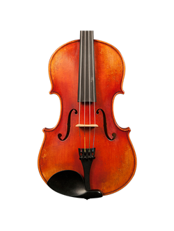 Violas